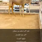 ثنيه للبيع