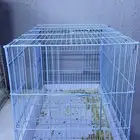 اغراض طيور