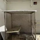 شبك دجاج حمام