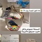 سمك فايتر