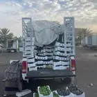 باذنجان وفلفل رومي