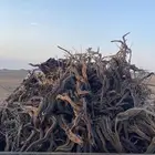 للبيع هيلكس غماره شرط