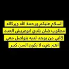 ابي ضان بلدي العدد8 ابي