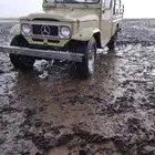 شيب شاص