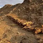 هايلكس للبيع