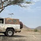 نبسان 82 مسقط