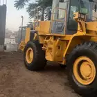 شيول لونق 2015