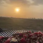 تصاميم بشكل احترافي ومميز