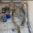 هدرز ربع راس