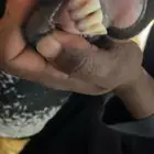 معزا عوارض متابيع 5 تحتها 10