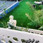 شاليه للايجار