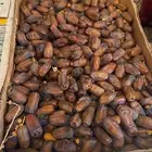 تمر برني مبروم وعادي