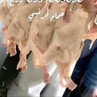 فروخ حمام فرنسي للاكل