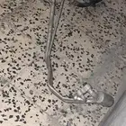 حي بدر