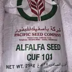 بذور برسيم