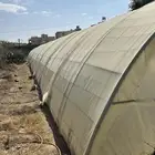 بيت مجلفن فرنسي
