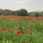 مشوار من الرياض الى نجران