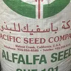 بذار برسيم امريكي