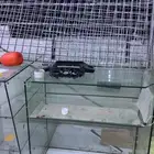 اغراض محل