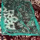 شبكت صيد للطيور