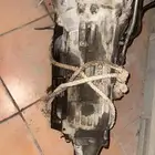 القير لكزس جي اس 430