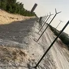 مقولات عامه لشغل شبوك