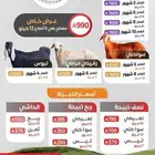 ذبائح بلدي
