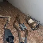 شكمان سفاري فتك كامل بيع سريع تشليح