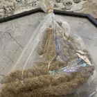 مستلزمات الطيور الزينه