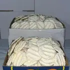 سمن ومضير