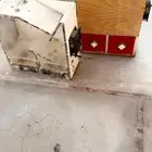 جهاز تنظيف اكل الطيور عن القشر