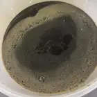 عسل شكوكه سمره طلحه