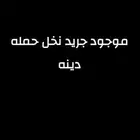جريد نخل للبيع الموقع رنيه