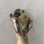فرخ كنيور هدد داخلي و اليف