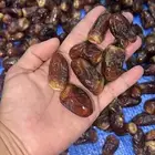 تمر برني العيص مشروط