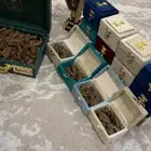 عود دخون بخور