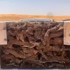 صندوق هايلوكس