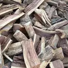 صندوق والدنا اللبيع نضيف