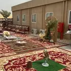 صقور للإيجار والتصوير والايفنتات