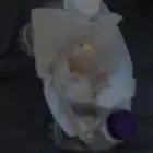 ذكر روز العمر 9 اشهر تغريد وعنده كلمه بيسو يقولها السعر 300