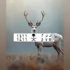 للبيع لوحه مميزه اسم ريم
