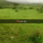 سواق تاكسي
