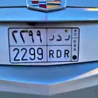 للبيع لوحه مميزه