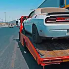سطحه ضباء شرماء