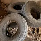 شاص