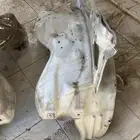 قطع جيب رفارف صالون 94