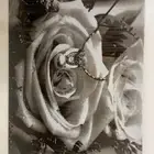 لوحة جدار -مكنسه كهربايئه - مرايه طويله - زينة ورد