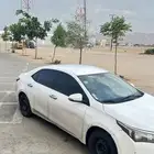 مندوب