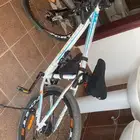 سيكل