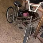 سيكل رامبو وفراشة